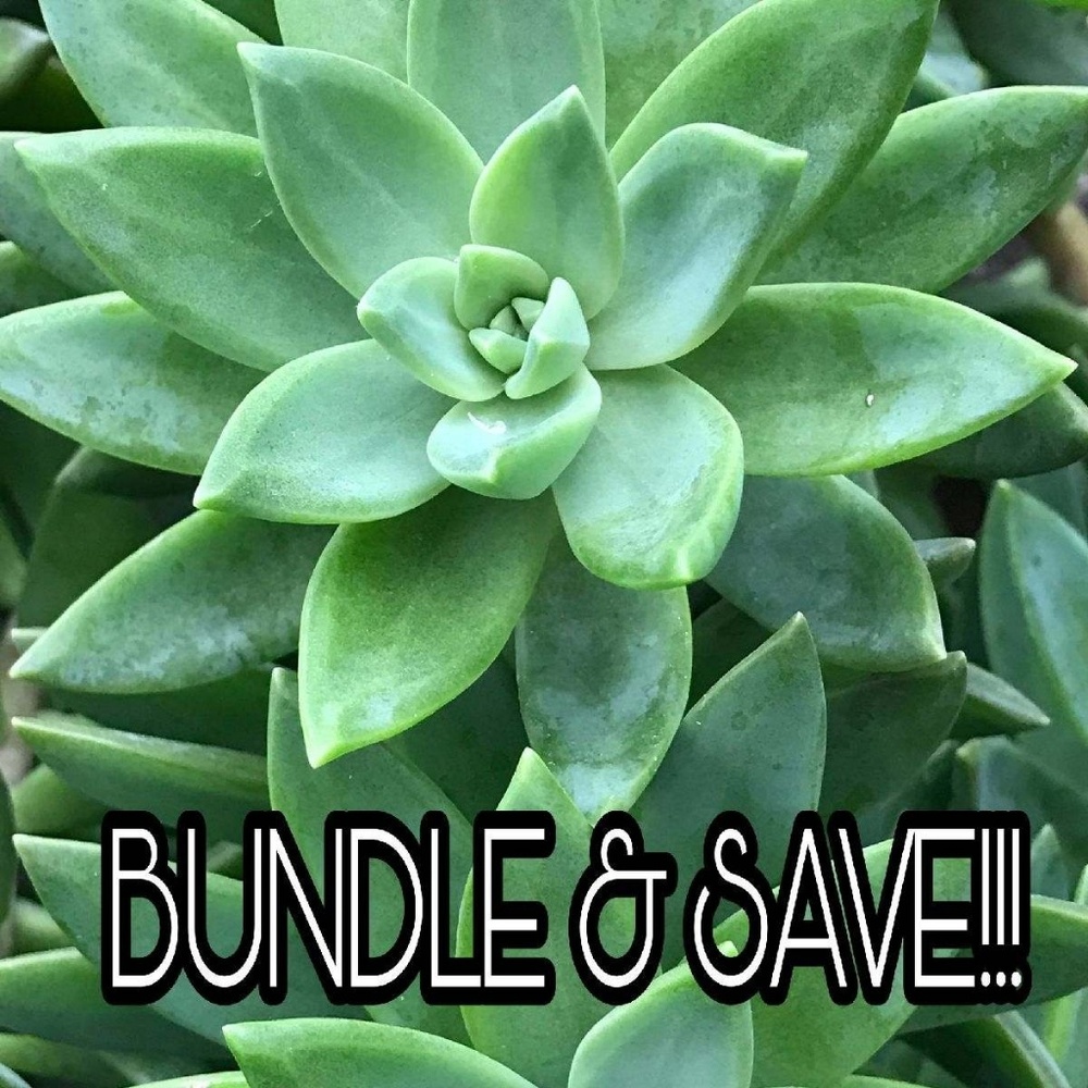 Thank you for shopping my closet! Bundle and Save.